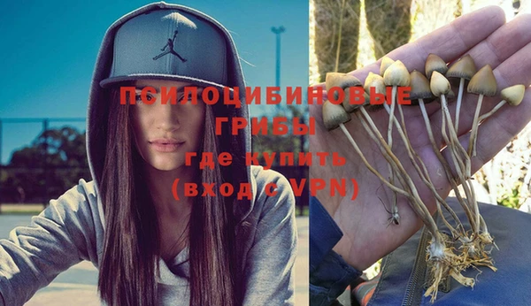 ГАЛЛЮЦИНОГЕННЫЕ ГРИБЫ Верхнеуральск