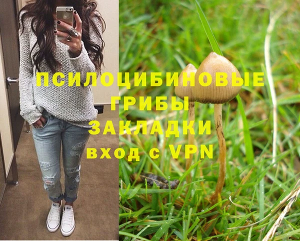 не бодяженный Богородск