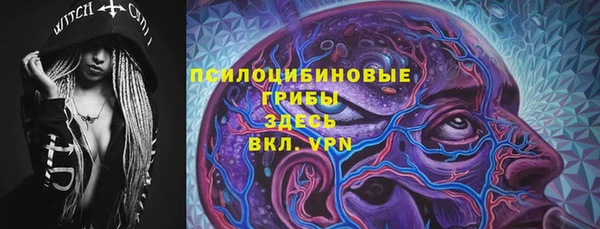 ГАЛЛЮЦИНОГЕННЫЕ ГРИБЫ Верхнеуральск