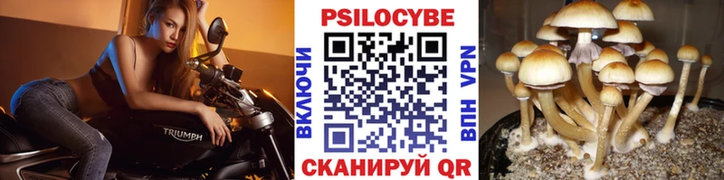 что такое наркотик  Донецк  площадка наркотические препараты  Галлюциногенные грибы Cubensis 